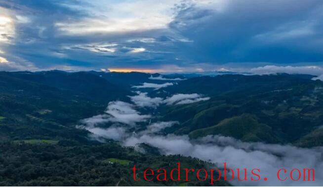 Sweet Mountain Ridges and the Fragrant Jingmai — World Heritage: The Ancient Tea Forest Cultural Landscape of Pu'er Jingmai Mountain-2