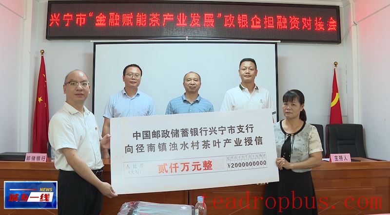 Jingnan Town Grants Zhushui Village a Credit Line of 20 Million RMB: Financial Support Empowers Tea Industry Development-2