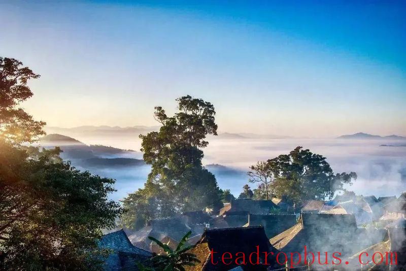 Debut in Beijing and Zhengzhou: A Journey of Aesthetics with the Jingmai Mountain Photography Exhibition and Pu'er Tea Cultural Creative Products-1