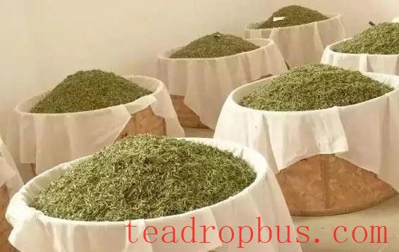 Fuding White Tea: Sun-drying, Charcoal-baking, Electric-baking—Which is Best?-1