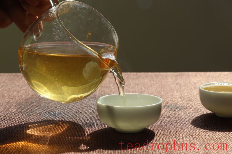 Why is Water Temperature Crucial for Tea Infusion?-3