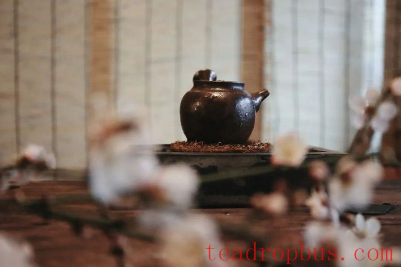 Cooking Tea in Winter is Cozy, but Beware of These Details-3