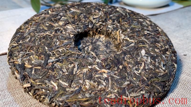 Puer Tea Brewing Techniques and Methods Explained-1