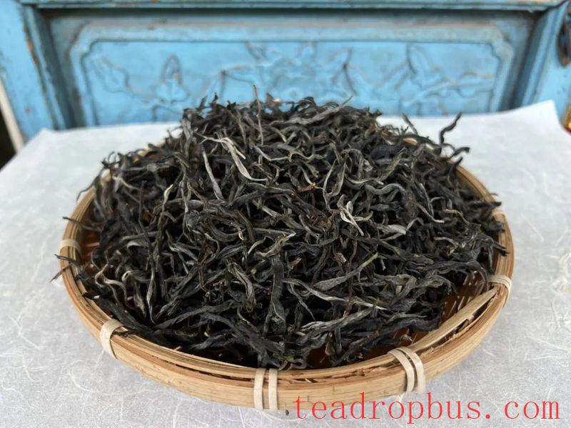 Lao Xu on Tea: The Tea from Python Spring Is Delicious, But the Journey Is Tough – How Good Is Its Natural Environment?-1