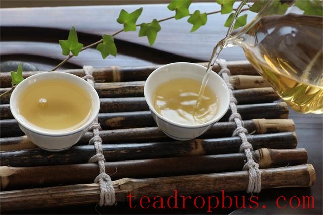 Tea is More Than a Beverage; It's a Companion in Life-1