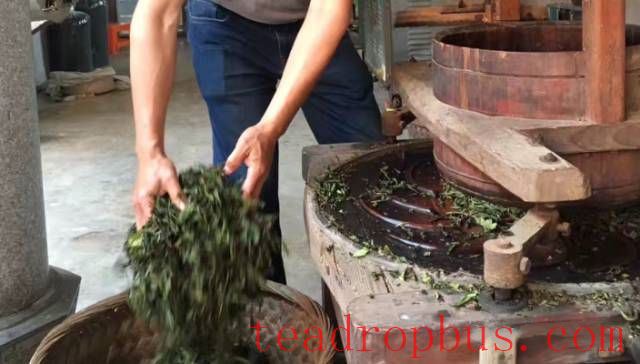 Anxi Tieguanyin: A Cup of Autumn Tea and the Stories Behind It-5