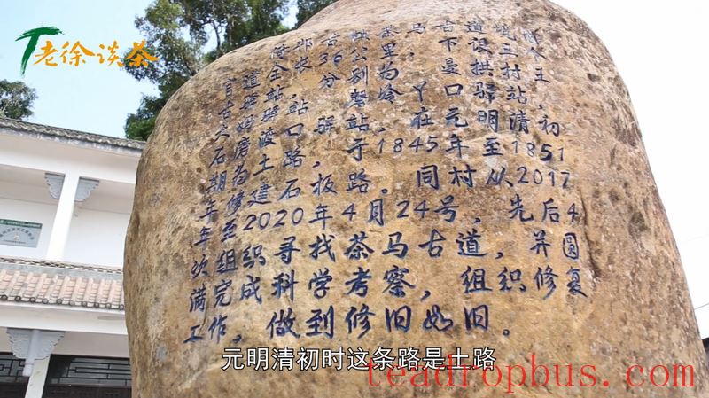 Lao Xu on Tea: Lao Xu Takes You to the Starting Point of the Tea Horse Trail—Yibang Ancient Town-2