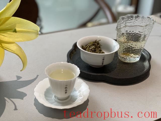 Gaiwan Tea Brewing: A Perfect Blend of Tradition and Modernity-3
