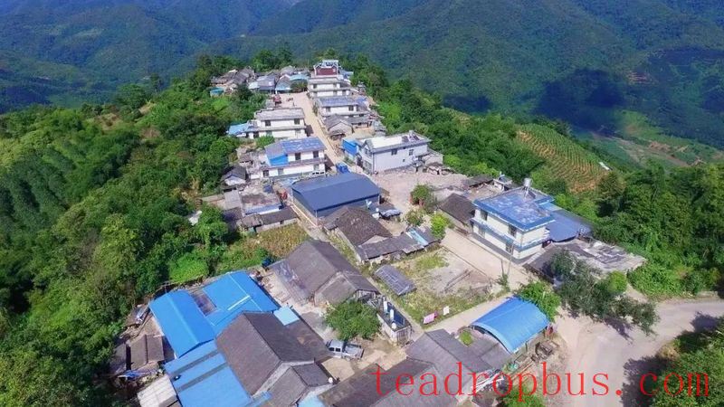 Tasting the Legacy of Yiwu: A Journey into the Heart of Tea Culture in Yiwu-2