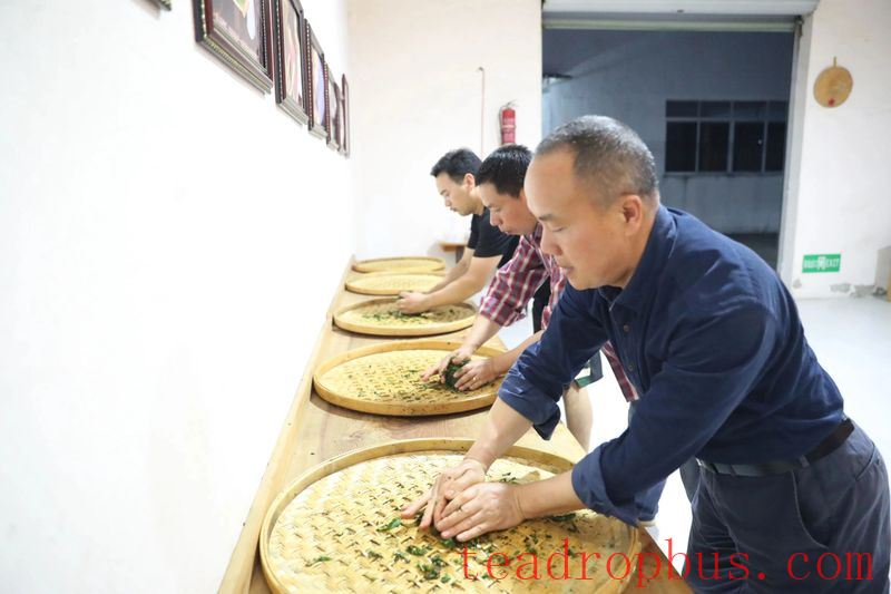Intangible Cultural Heritage of Humanity: Traditional Chinese Tea Processing Skills - Oolong Tea Chapter — Wuyi Rock Tea (Da Hongpao)-7