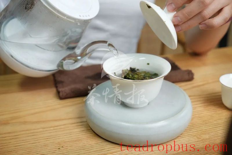 Rinsing Tea: Is it Unnecessary or Essential?-7
