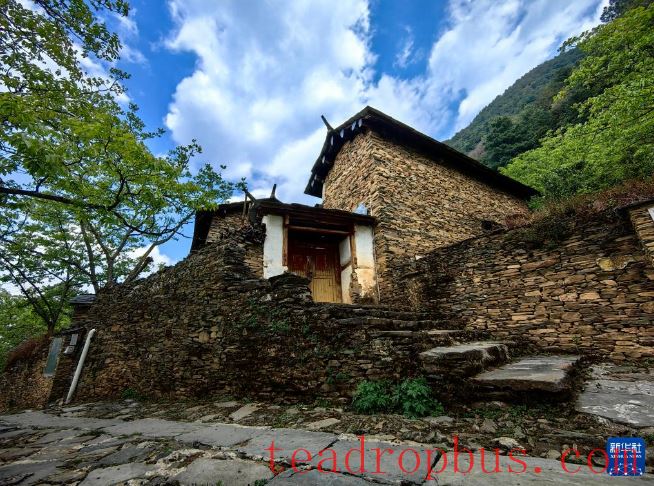 Yunnan's Fengqing: Protection and Utilization Bring the Ancient Town of the Tea Horse Road Back to Life-1