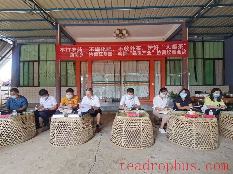 Gengma Mengjian: Small Sprouts Sketch a New Blueprint for High-Quality Development of Dazhai's Tea Industry-2