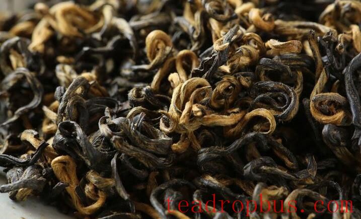 China's Tea and Its Culture XVIII: 