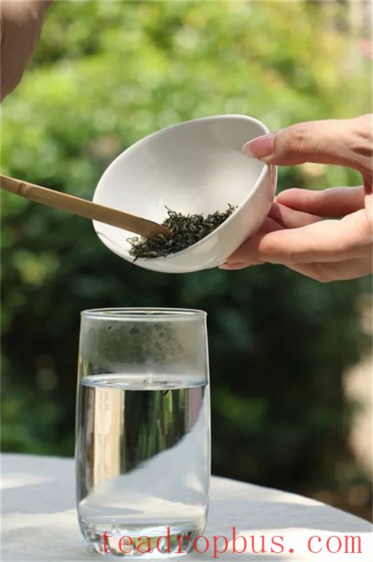 Tea Tales: How Does a Novice Get Started with Tea?-6