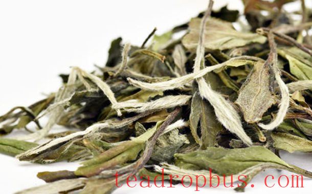 How to Perfectly Brew Bai Mudan (White Peony) Tea: Steps You Need to Know-2
