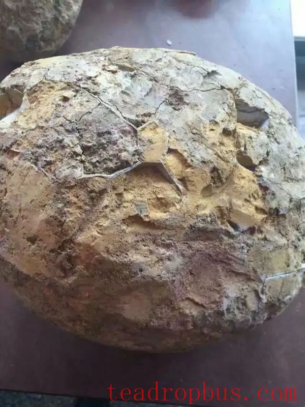 The Rare Gem in Purple Clay Mud—Stone Yellow + Stone Red-2