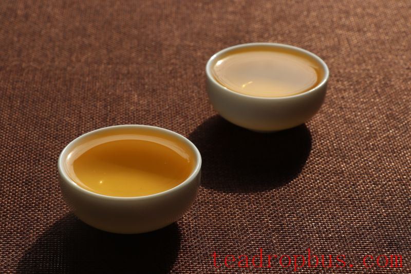 The Universal Formula for Brewing Pu'er Tea-4