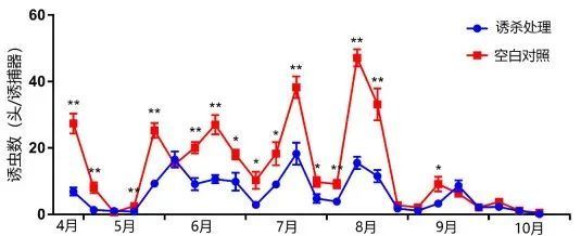Pest Management Using Sex Pheromones in Tea Plantations-3