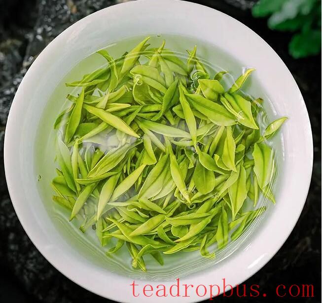 Exploring Maojian Tea: A Renowned Chinese Green Tea - Varieties and Brewing Techniques-2