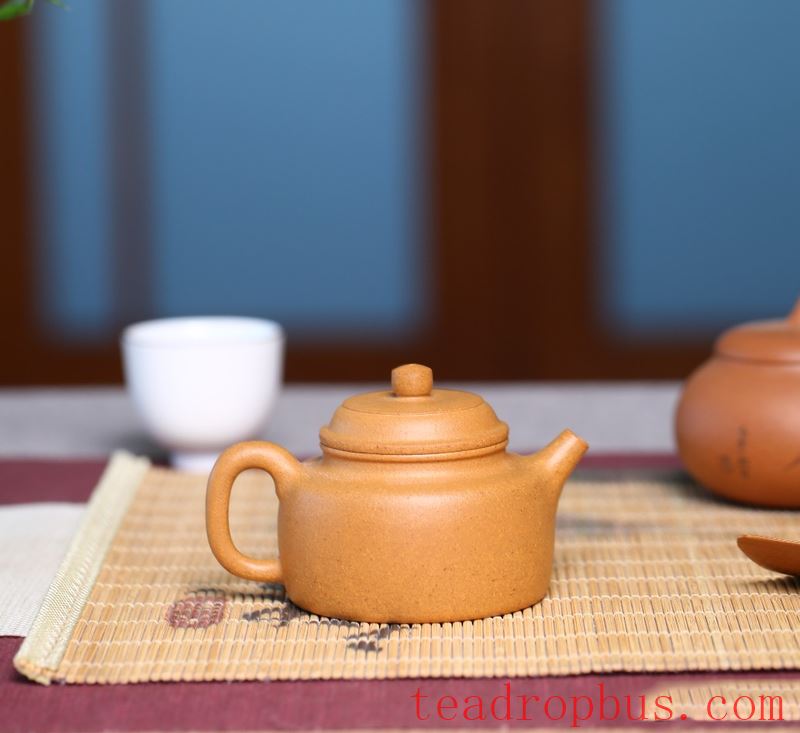 The Top 10 Teapots Perfect for Men, Exuding Masculine Charm-7