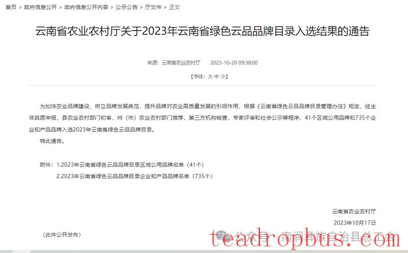 Nanjian County Implements Precision Talent-Gathering Plan to Support the Construction of a Tea Industry Workforce-11