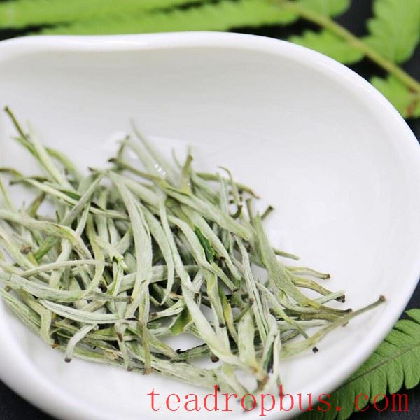 Tailaoshan Green Snow Bud Tea-1