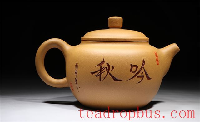 The Beauty of Purple Clay (Zisha) Segment Mud Patina: How Much Can It Transform?-2