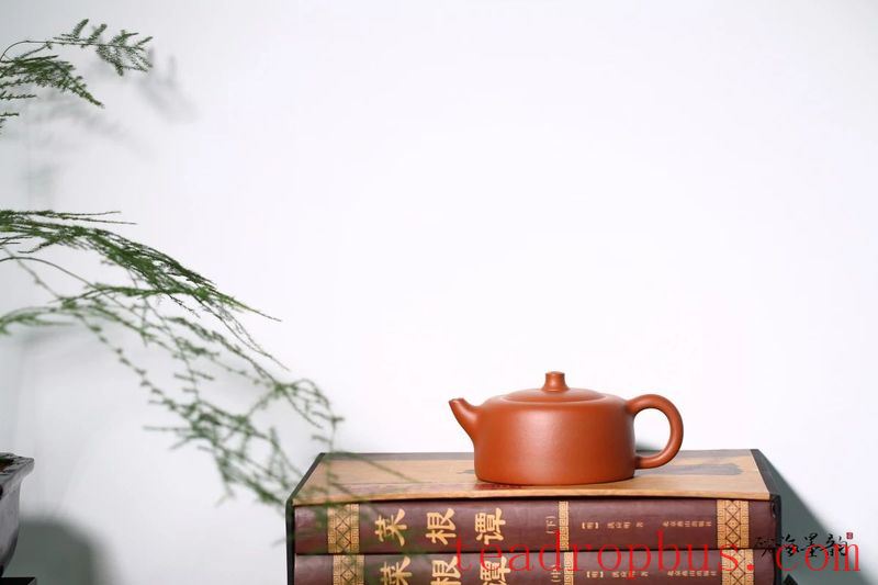 Which is Better: Zisha Teapot with a Straight Spout, Two-bend Spout, or Three-bend Spout?-6