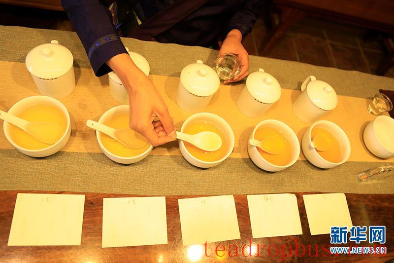 Jingmai Mountain in Yunnan: Ancient Tea Forests and Centuries-Old Affection-4
