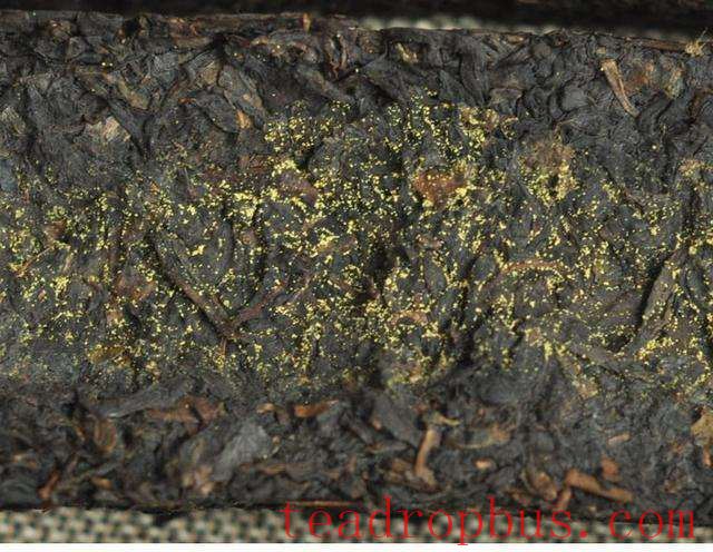 What is Fu Brick Tea and How to Drink It-2