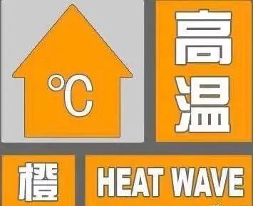 High Temperatures Approach: How Should Tea Plantations Be Managed?-1