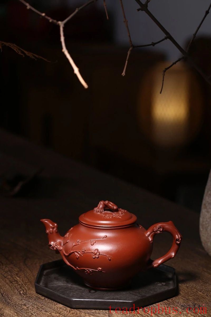 Which is Better: Zisha Teapot with a Straight Spout, Two-bend Spout, or Three-bend Spout?-8