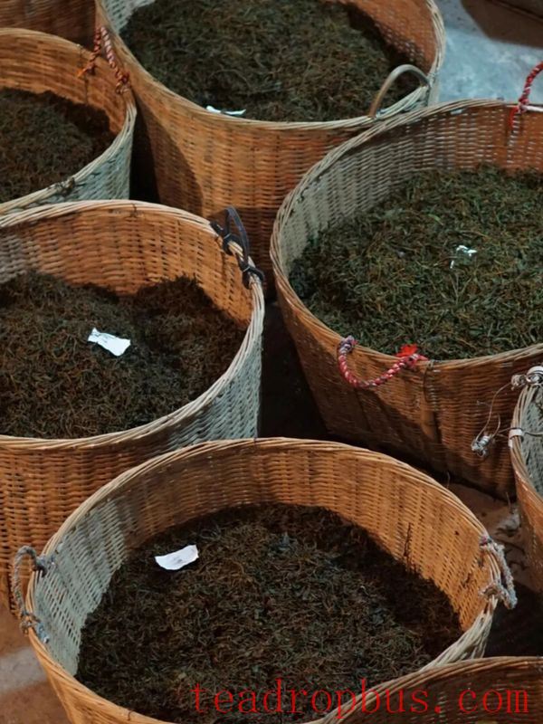 A Detailed Look at the Manufacturing Techniques of Zhengshan XiaoZhong, an Intangible Cultural Heritage-9