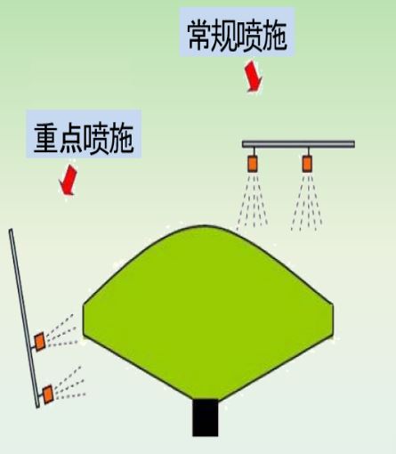 Insect Incidence and Control Methods of Black Scale Mealybug in Xiangxi Tea Gardens-4