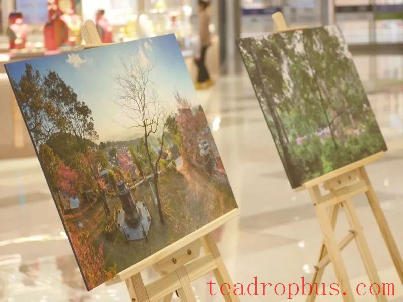 Debut in Beijing and Zhengzhou: A Journey of Aesthetics with the Jingmai Mountain Photography Exhibition and Pu'er Tea Cultural Creative Products-2