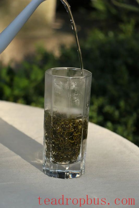 Tea Tales: How Does a Novice Get Started with Tea?-2