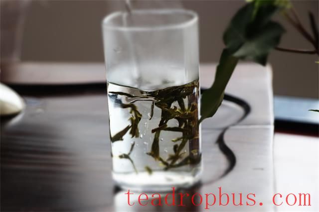 Correct Method of Drinking Green Tea-2