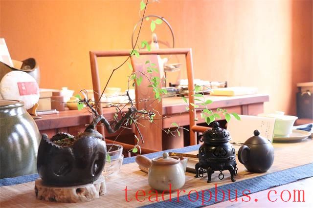 Brew the spring breeze into a cup of clear tea, and drink it all in!-1