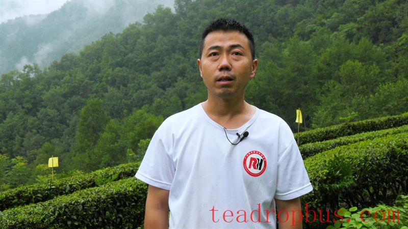 Pingwu: 