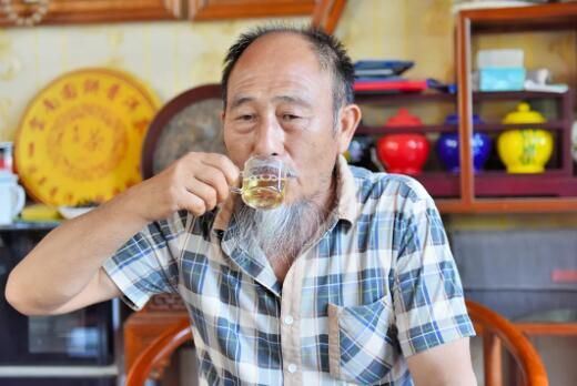 Changning: The Aroma of Wild Tea in Zhizhu Mountain-11