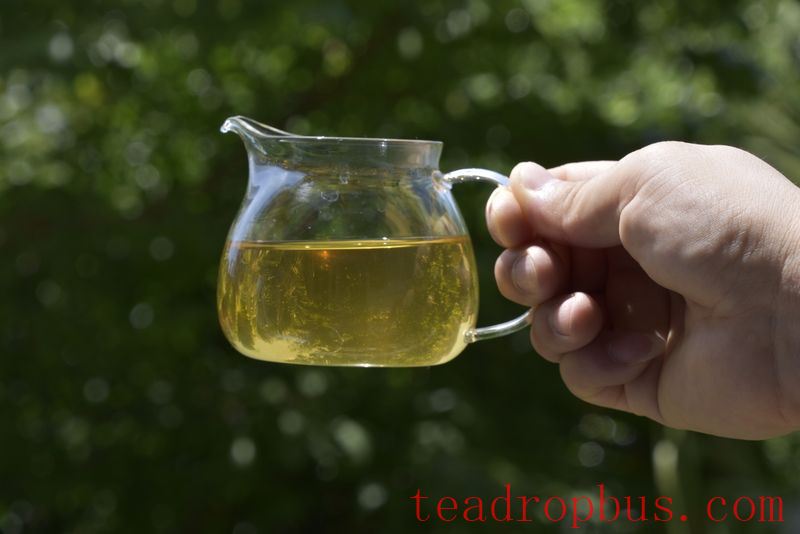 Brewing Pu'er Tea in the Office-1
