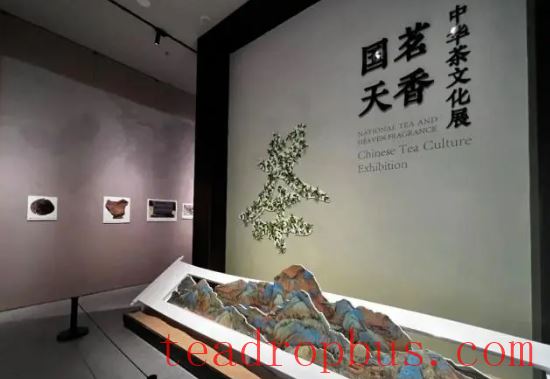 Cultural Assistance to Xinjiang through Tea Friendship! 