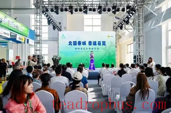 A Millennium of Agricultural Civilization: The Fragrance of Xishi Shidian Tea in Changchun-1