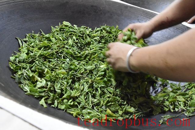 Puer Tea Common Methods of Fixation-3