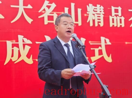 Xishuangbanna Prefecture Strengthens Its Renowned Tea Brand from Famous Mountains, Signaling a New Chapter in Rural Revitalization-1