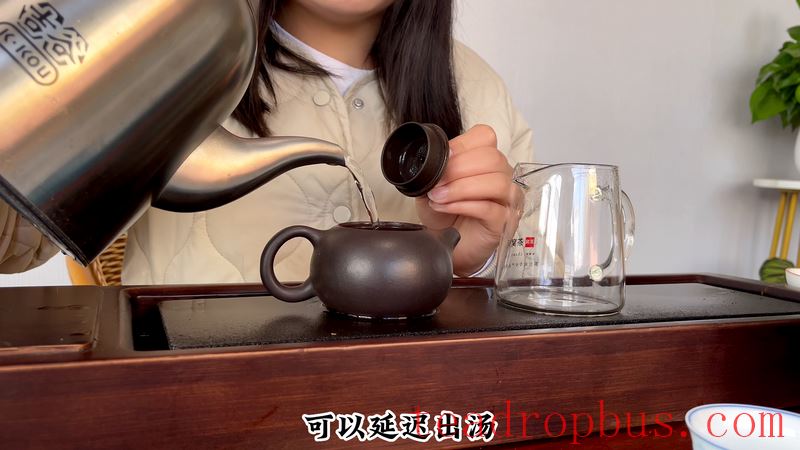 How to Brew Jingmai Mountain Pu'er Tea for a Great Taste?-12