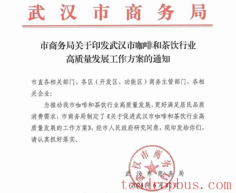 Wuhan Aims to Become China's First 