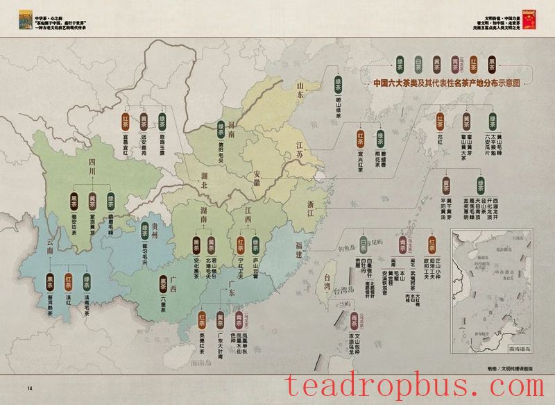 Tea: A Tremendous Outcome of Civilizational Exchange and Inclusive Global Impact-2