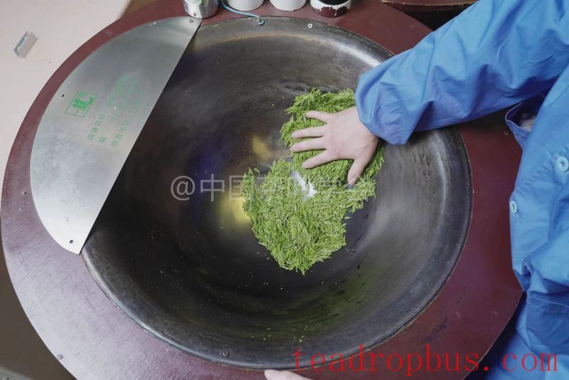 Intangible Cultural Heritage of Humanity: Traditional Chinese Tea Processing Skills - Green Tea Chapter ① – West Lake Longjing-8